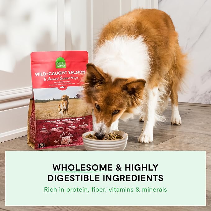 Open Farm Ancient Grains Dry Dog Food, Wild Caught Salmon Kibble, 11lb Bag | All Life Stages, All Breed Sizes, Protein-Rich & Nutrient Dense, 100% Traceable Ingredients, Non-GMO Fruits & Veggies.