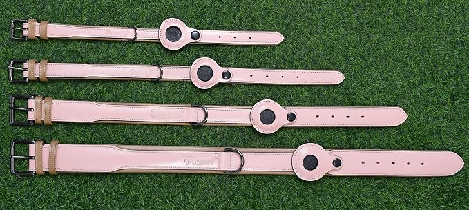 Airtag Luxury Real Leather Dog Collar Genuine Leather Dog Collar for Small Medium Large Dogs | Soft Padded Leather Collar With Anti -Rust Buckle Hardware (Size - S)Fits Neck 12, 13 & 14 inches