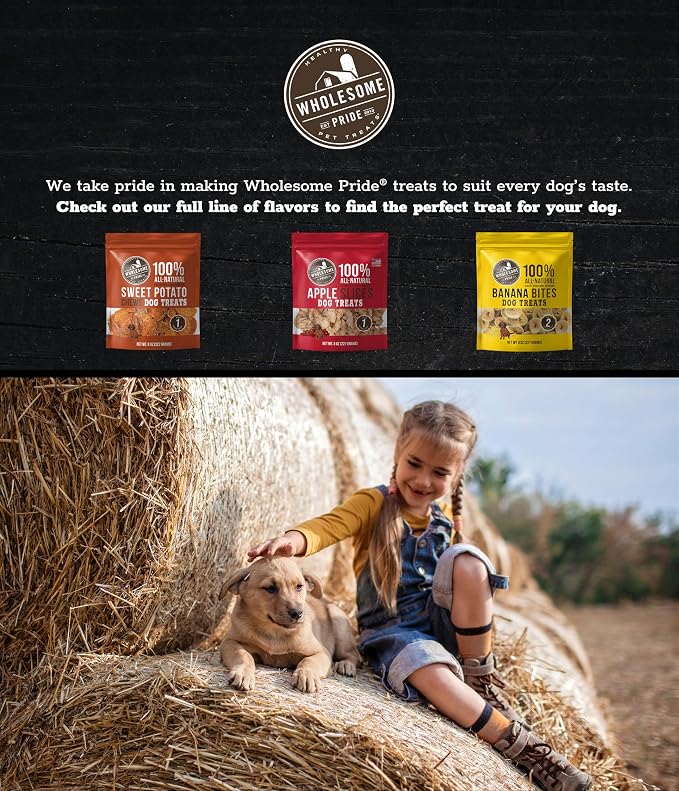 Wholesome Pride Sweet Potato Fries Healthy Dog Treats, 1 Ingredient, 8 oz | No Preservatives, 100% Sweet Potato, Gently Dehydrated, Supports Digestion, No Grain or Gluten, Training & Snacking