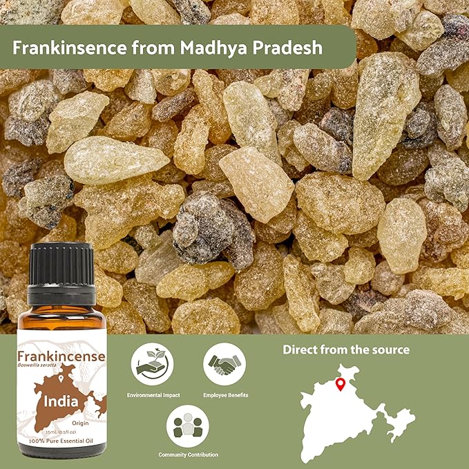 Frankincense Essential Oil - Direct from Madhya Pradesh, India - Pure Essential Oil for Diffusers and Aromatherapy | 100% Pure Therapeutic Grade Natural Aceite de Incienso (15ml)