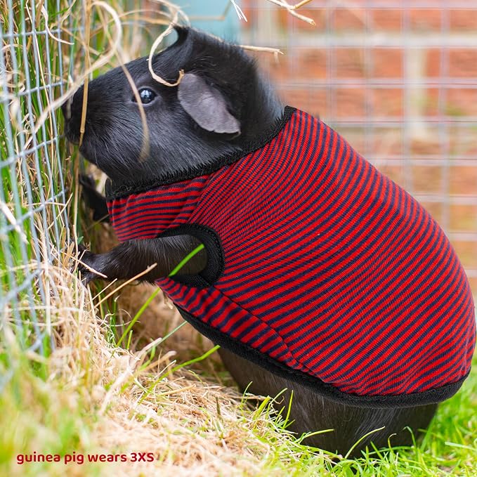 Guinea Pig Clothes (2-Pack), Striped Small Animal Vest T-Shirt | Soft Breathable Small Pet Apparel & Costume for Rat, Guinea Pig, Rabbit, Chinchilla, Ferret, Kitten