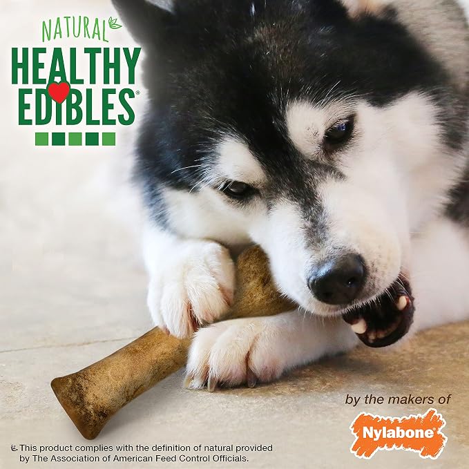Nylabone Healthy Edibles Dog Treats, Bacon Flavor, X-Large, 2 Count | Natural dog chews, occupying & long lasting dog treats, made in the USA, highly digestible, dog bones for large dogs 50+ lbs
