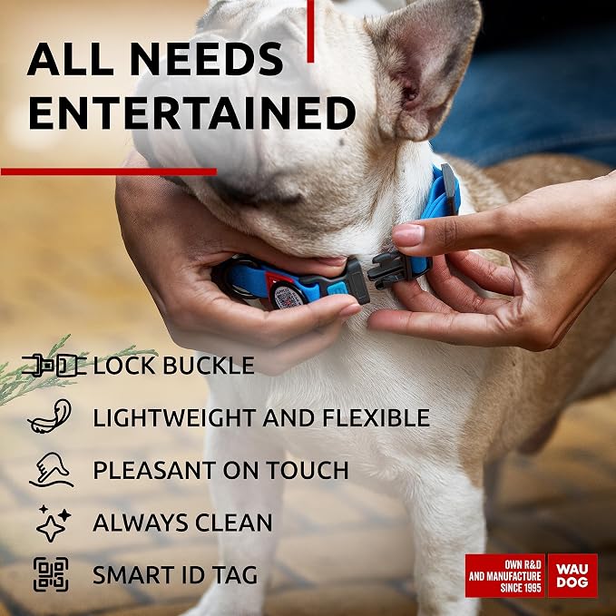 WAUDOG Waterproof Dog Collar - Adjustable Collar with Air Holder and QR Tag for Large, Small and Medium Breeds
