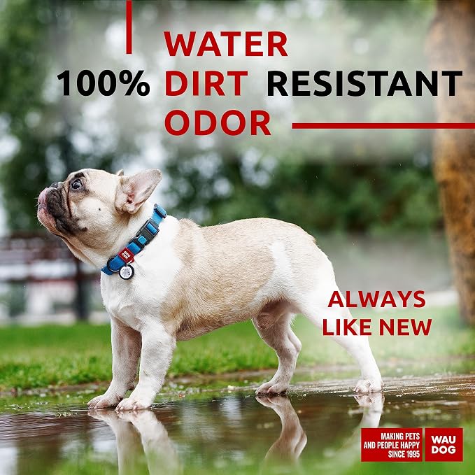 WAUDOG Waterproof Dog Collar Airtag Holder QR Tag Small Medium Large Dogs | Water and Dirt Resistant, Quick Dry QR Pet Tag Adjustable Durable Comfort for Male and Female Dogs Outdoor Walking Training