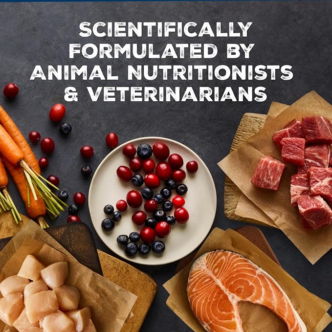 Blue Buffalo Wilderness Variety Pack Adult Wet Dog Food, 12.5 oz, 6 ct | Beef & Chicken Grill and Chicken & Salmon Grill (3 of each), High Protein & Grain-Free Recipes, Natural Ingredients