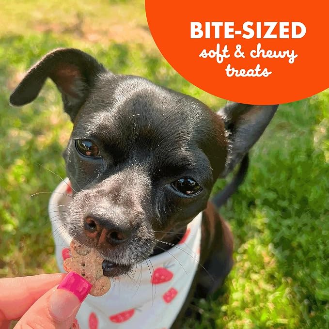 Buddy Softies Soft & Chewy Dog Treats Peanut Butter 20 oz. Jar | All Life Stages, Gingerkid Shape, Minimally Processed, Free of Corn, Soy, Artificial Flavors, Colors and Preservatives