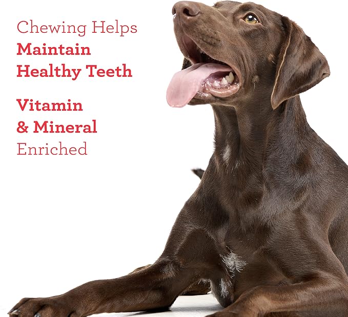DreamBone Churro-Style Sticks Rawhide-Free Dog Treats, 14 Count | Daily Chew, Digests Safely and Completely, Made With Real Protein, Chicken and Veggies, For Adult Dogs
