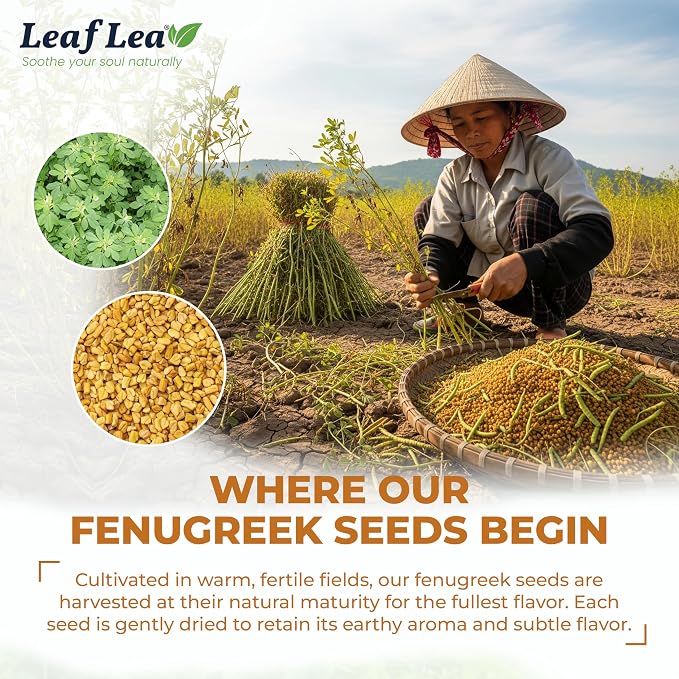 LeafLea Fenugreek Tea Bags, Whole Methi Seed Tea, 80 Count Value Pack | Real Fenugreek Seed, Fenogreco Tea, Toasty Nutty Flavor, Caffeine-Free, Non-GMO, Gluten-Free, Foil-Sealed Fresh