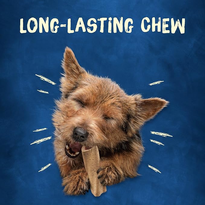 Purina Busy Bone Adult Mini Dog Chew Treats, Original, (2) 12 ct Pouches | Rawhide free chew with a real meat center, for small dogs 13-24 lbs, long lasting chew that helps clean teeth
