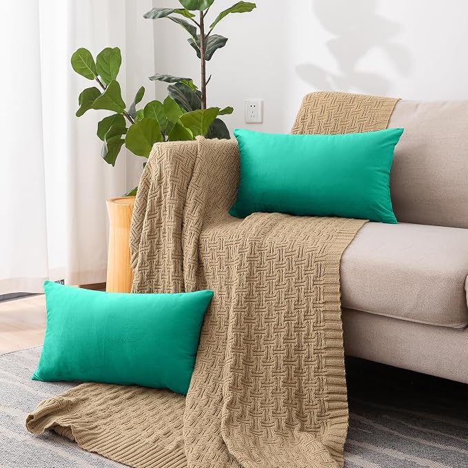 NiNi ALL Aqua Green Velvet Throw Pillow Covers 12x20 Pack of 2 Decorative | Couch Soft Solid Boho Cushion Squar Pillow Cases for Chair Sofa Bedroom Farmhouse Living room Modern Luxury Home Christmas