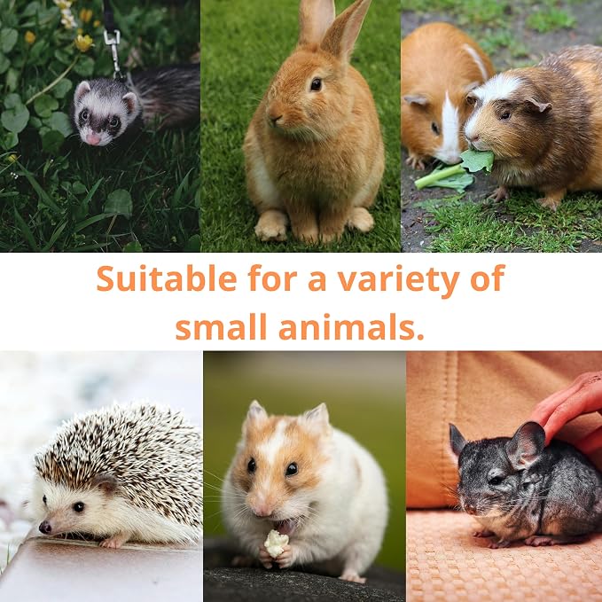 Ferret Treat Ball Interactive Toy Balls for Small Animal, Enrichment Toys Ferrets Dry Food Ball for Ferrets Guinea Pig Rat Chinchilla Hedgehog Bunny, Pet Ferret Accessories (S, Spiral)