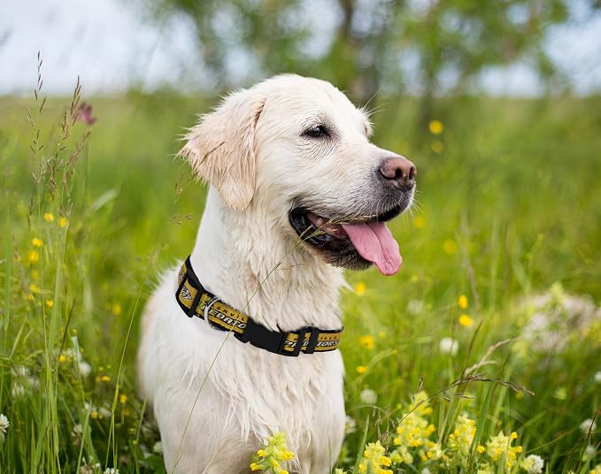 Pets First NHL Collar for Dogs & Cats. Adjustable, Cute, & Stylish! The Ultimate Hockey Fan Collar!