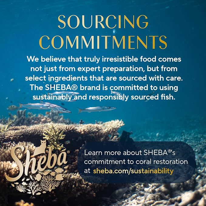 Sheba Perfect Portions Pate Wet Cat Food, Variety Pack, 2.6 oz, 48 ct | Chicken, Turkey, Salmon & Whitefish-Tuna, grain-free, 96 servings, sustainably sourced, convenient twin-pack portions