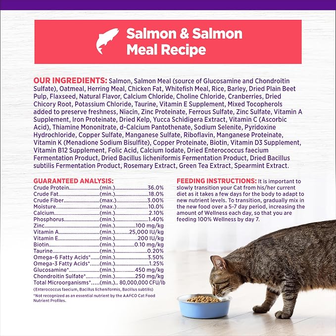 Wellness Complete Health Adult Dry Cat Food, Natural, Wholesome Grains Kibble, Salmon Recipe, 5 lb Bag