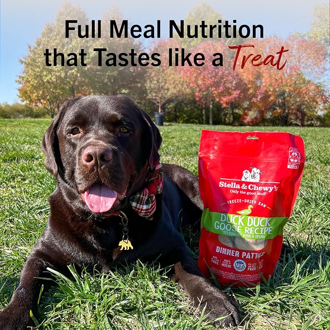 Stella & Chewy's Freeze-Dried Raw Dinner Patties - Duck Duck Goose Recipe - High Protein Grain-Free Puppy & Dog Food - Perfect for Picky Eaters - 14 oz