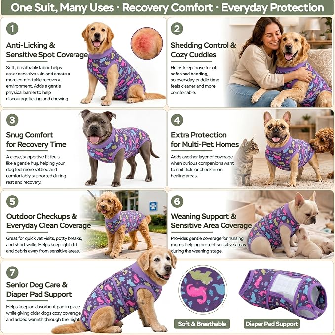 PetWarm Dog Post Surgery Suit Spay, Pet Recovery Suit for Dogs, Onesies for Dogs, Substitute E-Collar and Cone, Anti-Licking Dog Onesie for Surgery Female, Dinosaur Pattern, Purple, XS