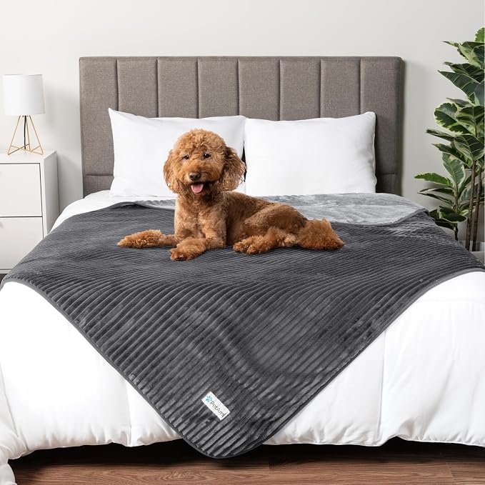 PetAmi Waterproof Dog Blanket, Leakproof Pet Blanket for Small Medium Large Cats, Soft Plush Reversible Sofa Couch Cover Protector, Washable Puppy Throw for Bed Crate, 60x80 in, Grey Light Gray