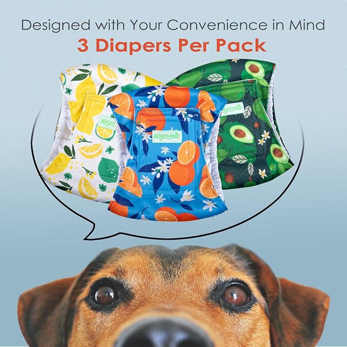 wegreeco Washable Male Dog Belly Band (Stylish Pattern)- Pack of 3 - Washable Male Dog Belly Wrap, Dog Diapers Male (Fruit, X-Large)