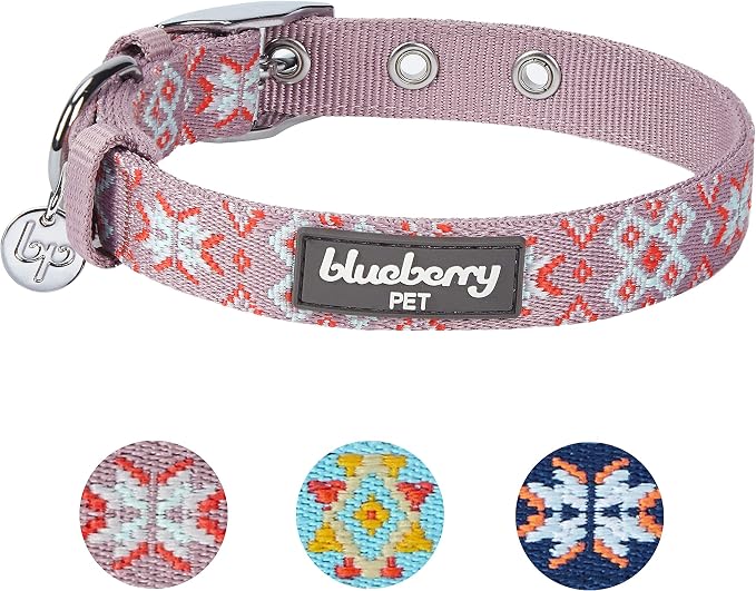 Blueberry Pet Southwestern Modern Tribal Print Thistle Braided Adjustable Dog Collar with Metal Buckle, Neck 17-20.5", for Large Breed