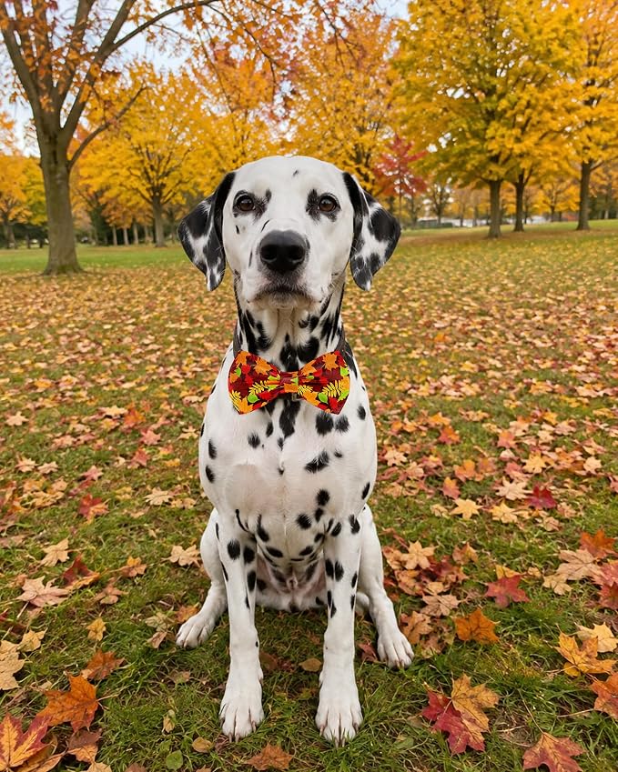 PET SHOW 5 Pack Dog Bowties Fall for Large Dogs Slide on Collar