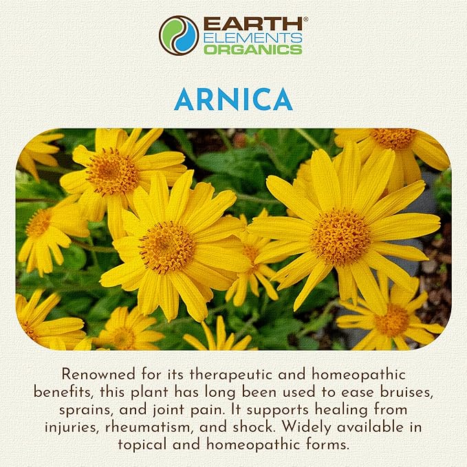 Arnica Oil - with Sunflower Seed Oil, Skin Routine for Post Surgery and After Care, Infused Herbal Extract for Face, Body, Muscle Application1 fl oz