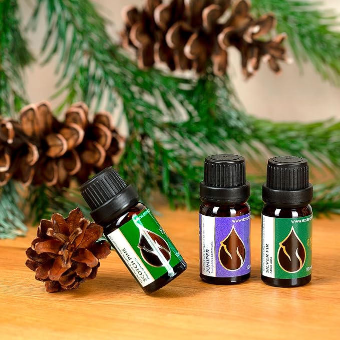 Essences Bulgaria Organic Silver Fir Essential Oil 1/3 Fl Oz | 10ml | Abies alba | 100% Pure and Natural | Undiluted | Therapeutic Grade | Family Owned Farm | Steam-Distilled | Non-GMO | Vegan