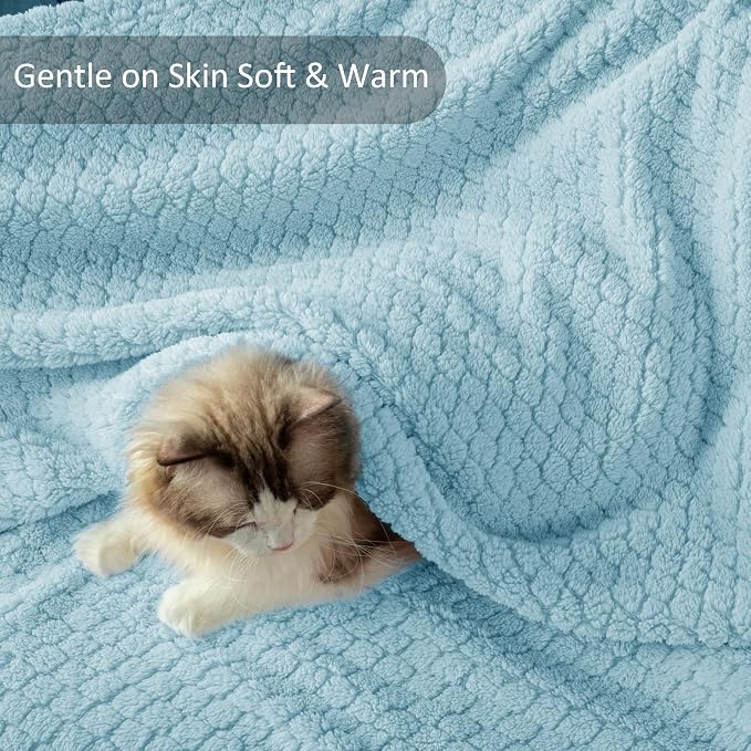 Exclusivo Mezcla Soft Fleece King Size Blanket for Bed, Light Blue | Jacquard Lightweight Cozy Bed Blanket, Breathable Decorative Fuzzy Textured All Season Use, 90x104 Inches