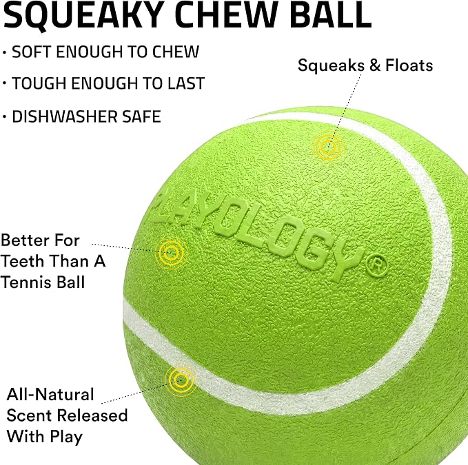 Playology Squeaky Chew Ball Dog Toy - Medium, Sweet Potato Scent