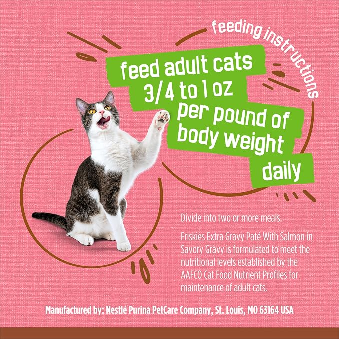 Purina Friskies Wet Cat Food Extra Gravy Pate With Salmon in Savory Gravy - (Pack of 24) 5.5 oz. Cans