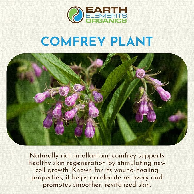 Comfrey Body Oil Raw, Infused, Organic, Unscented