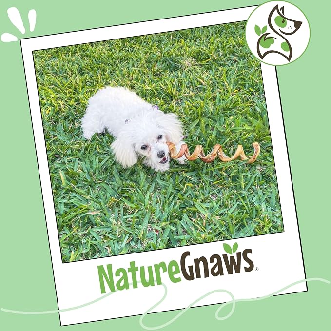 Nature Gnaws Bully Stick Springs 7-8" Rawhide Free Dog Chews, 12 Count