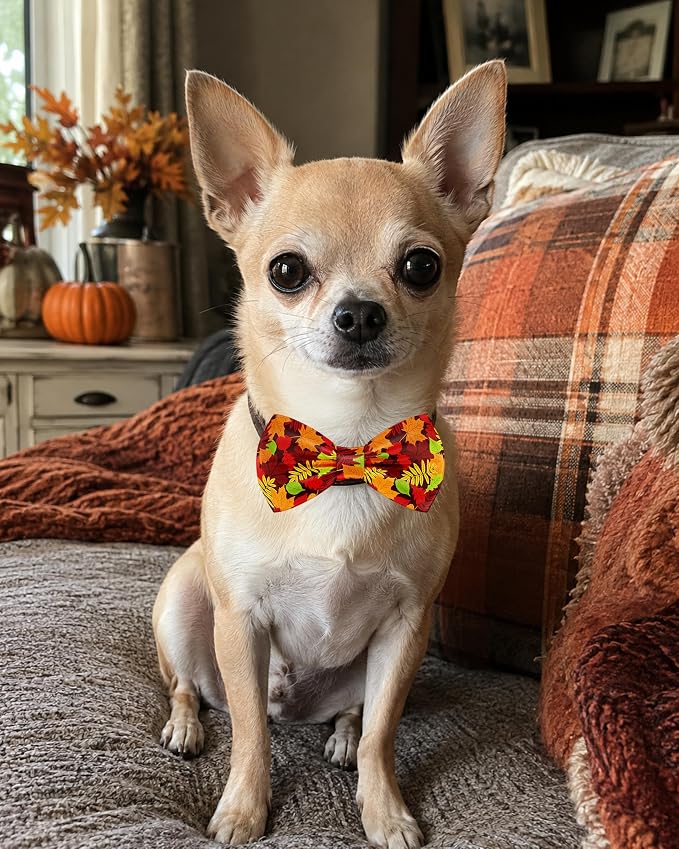 PET SHOW 5 Pack Dog Bowties Fall for Small Dogs Slide on Collar