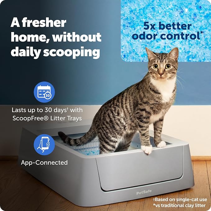 PetSafe ScoopFree Complete Smart Self-Cleaning Cat Litter Box - WiFi & App Enabled - Hands-Free Cleanup with Disposable Crystal Trays - Less Tracking, Superior Odor Control - Includes Disposable Tray | 2.4 GHz WiFi & App Enabled, Hands-Free Automatic C...