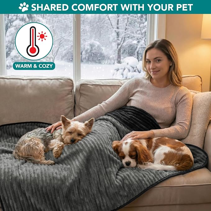 PetAmi Waterproof Dog Blanket, Leakproof Pet Blanket for Small Medium Large Cats, Soft Plush Reversible Sofa Couch Cover Protector, Washable Puppy Throw for Bed Crate, 24x32 in, Black Grey
