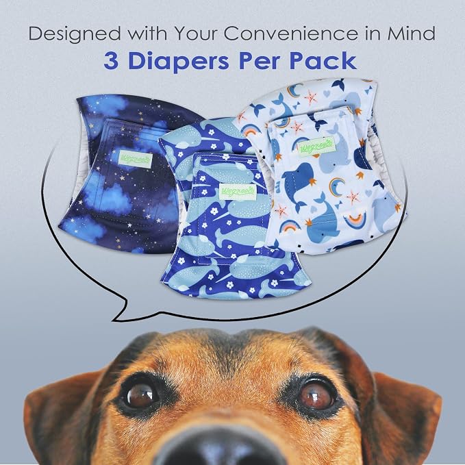 wegreeco Washable Male Dog Belly Band (Stylish Pattern)- Pack of 3 - Washable Male Dog Belly Wrap, Dog Diapers Male (Whale, M)