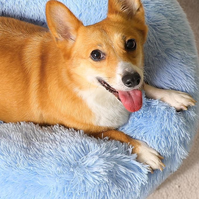 Western Home Calming Donut Small Dog Cat Bed Washable Puppy Bed,24" | Fluffy Faux Fur Round Cuddler,Anti-Anxiety,Anti-Slip Bottom,Pet Beds for Puppy&Small Dog&Large Cat,Up to 25 LBS Light Blue