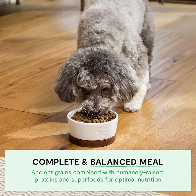 Open Farm Ancient Grains Dry Dog Food, Small Breed Kibble, 11lb Bag | All Life Stages, Small Breed Sizes, Protein-Rich & Nutrient Dense, 100% Traceable Ingredients, Non-GMO Fruits & Veggies.
