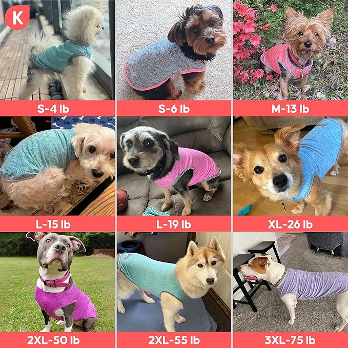 KYEESE 2Pack Dog Shirt for Small Dogs Sun Protection Tank Top for Summer | Reflective for Safety, Lightweight & Breathable, Shedding Control, Skin-Friendly for Sensitive Dogs, Easy On/Off, Quick Dry
