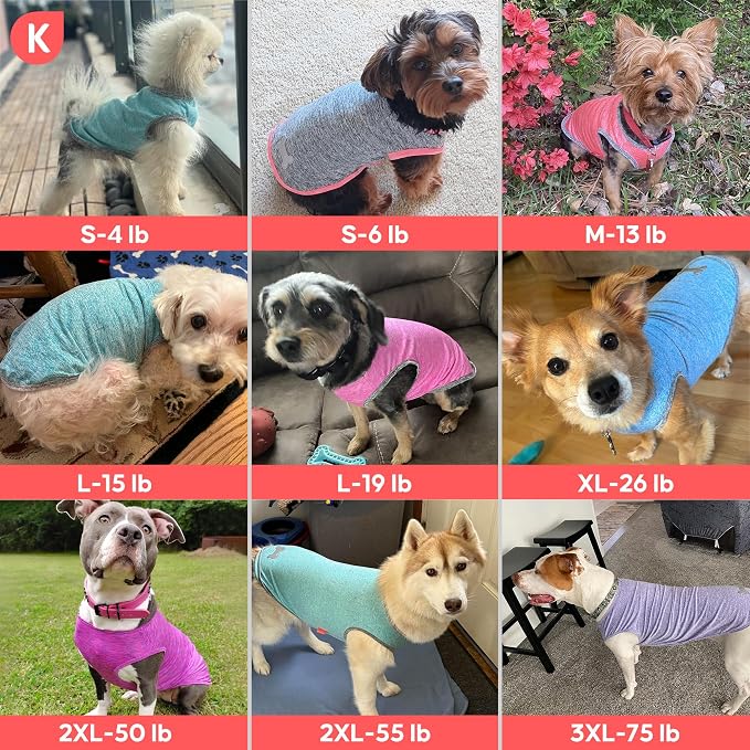 KYEESE 2Pack Dog Shirt for Small Dogs Sun Protection Tank Top for Summer | Reflective for Safety, Lightweight & Breathable, Shedding Control, Skin-Friendly for Sensitive Dogs, Easy On/Off, Quick Dry