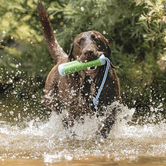 Chuckit! Amphibious Bumper Dog Fetch Toy, Small, Floats, for Water Play