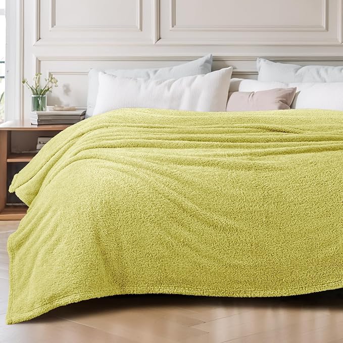 Exclusivo Mezcla Fleece Twin Size Blanket for Couch and Bed, 60" x 80" | Super Soft and Cozy Fluffy Blanket for Women, Lightweight and Fuzzy Blanket for Teens Back to School, Light Green
