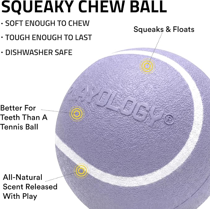Playology Squeaky Chew Ball Dog Toy - Medium, Lamb Scent