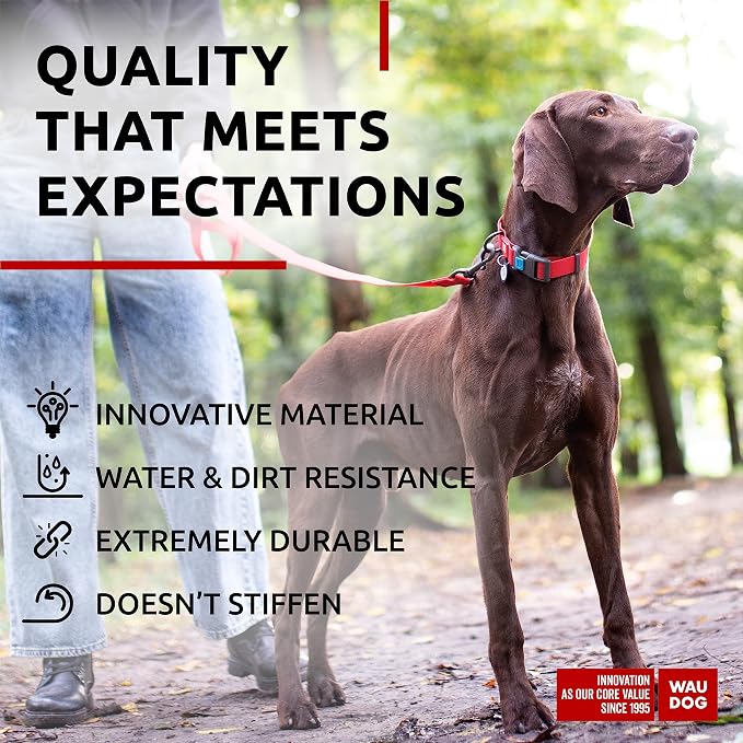 WAUDOG Waterproof Dog Collar Airtag Holder QR Tag Small Medium Large Dogs | Water and Dirt Resistant, Quick Dry QR Pet Tag Adjustable Durable Comfort for Male and Female Dogs Outdoor Walking Training