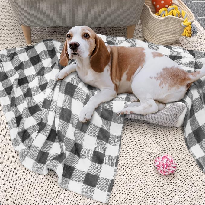 PAVILIA Light Grey Buffalo Plaid Throw Blanket for Couch, Soft Checkered Flannel Fleece Blanket for Sofa, Grey White Plaid Decorative Couch Throw, Warm Cozy All Season Fall Blanket Decor Gift, 50x60