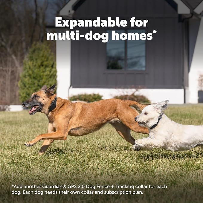 PetSafe Guardian GPS 2.0 Dog Fence + Tracking, 1/2 Acre or More