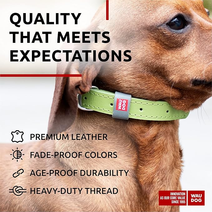 WAUDOG Genuine Leather Dog Collar Adjustable Large Medium Small QR Code Tag