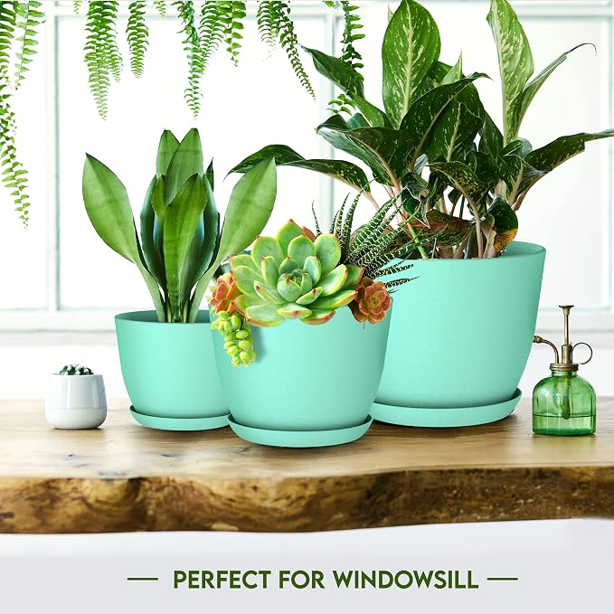Plant Pots Indoor with Drainage, 5 Pack Multi-Size Planters Set, Aqua | Drainage holes included Multiple sizes 7/6.6/6/5.3/4.8 In Indoor plants and flowers Durable plastic construction