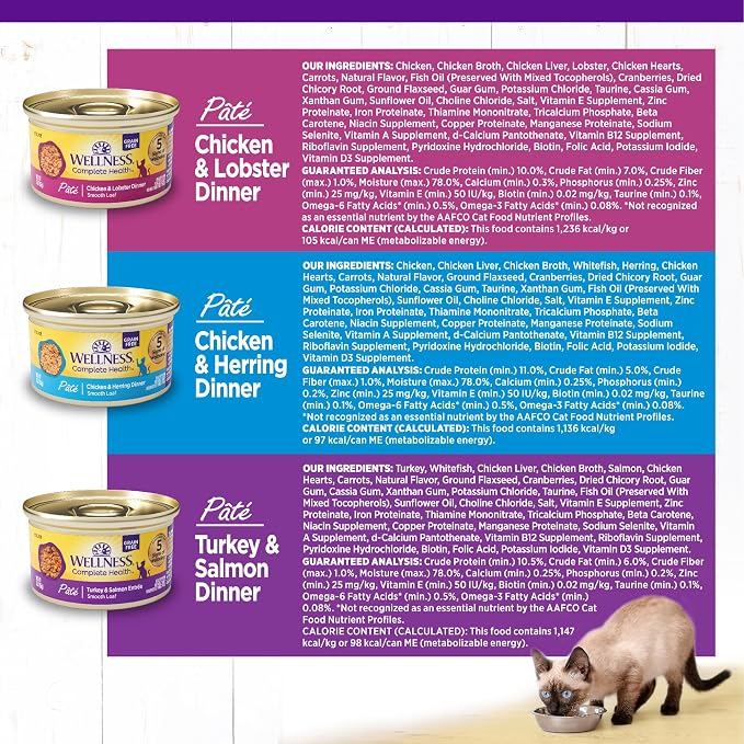 Wellness Complete Health Pate Variety Pack Adult Canned Wet Cat Food, Natural, Protein Rich, Grain Free, Seafood Favorites, 3 oz, Pack of 24 Cans