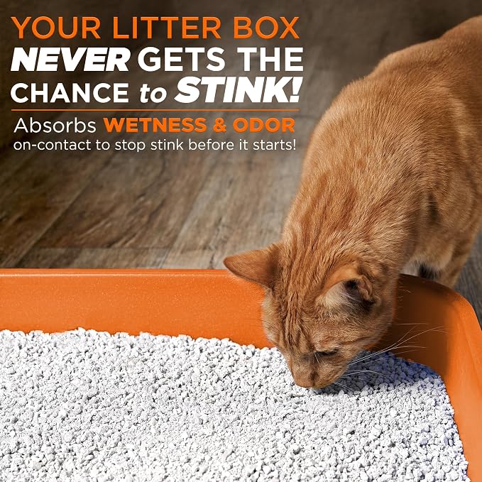 POOPH Litterizer Cat Litter Odor Eliminator Additive, 16 fl oz Bottle | Helps absorb moisture and odors to keep cat litter drier. Fragrance-free formula in a 16 oz bottle