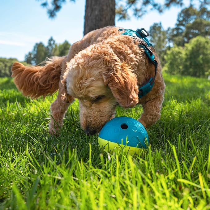 Outward Hound Nina Ottosson Treat Tumble Dog Toy Puzzle Ball, 4.8" | Level 1 Easy, Food-Dispensing Ball, Holds 1 Cup Kibble or Treats, No BPA, Interactive Enrichment, Dogs & Puppies